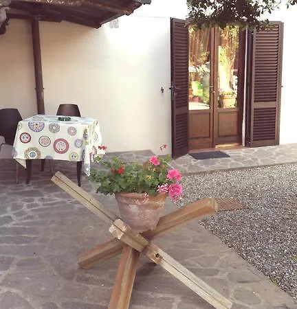 Villa Salvini Marina Di Pisa Exterior foto