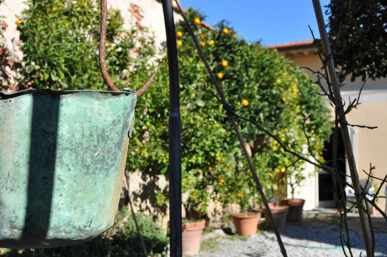 Salvini Appartement Marina Di Pisa