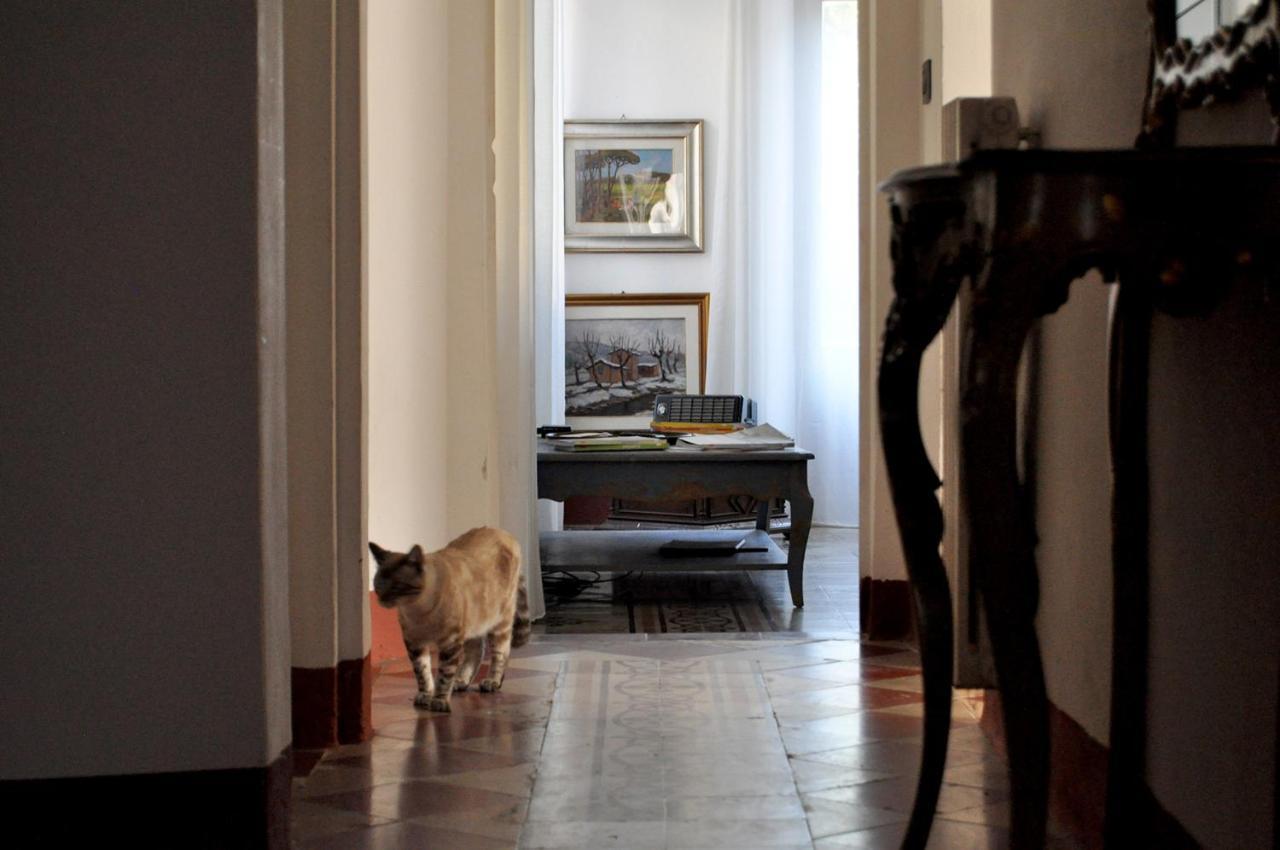 Salvini Apartment *