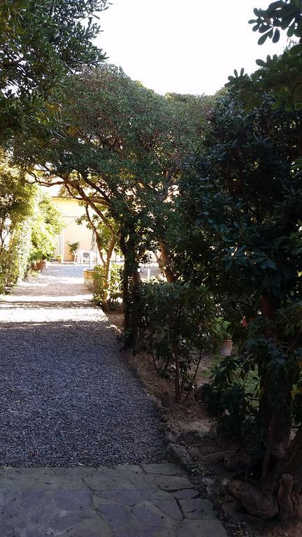 Apartment Salvini Marina Di Pisa
