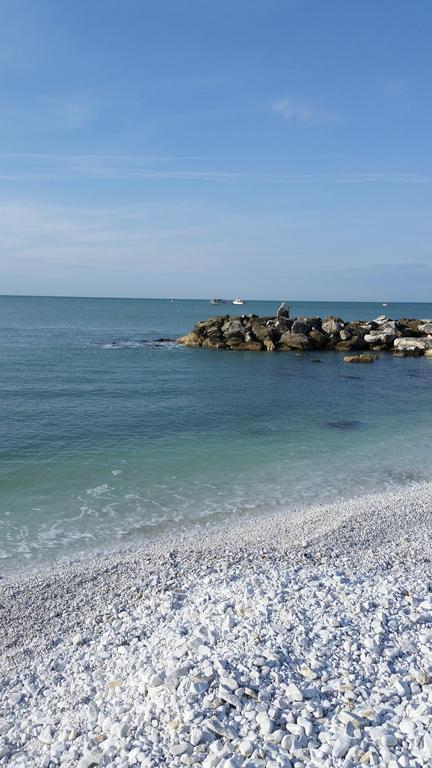 Salvini Marina Di Pisa